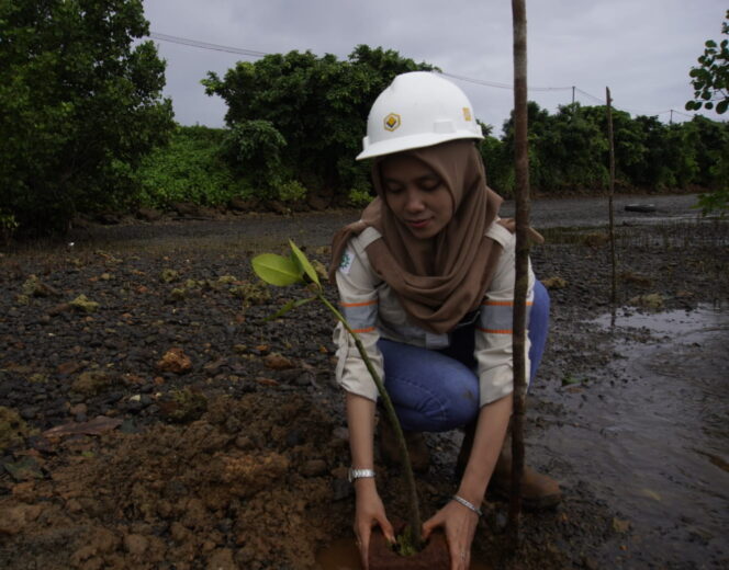 
					PT GKP Lakukan Penanaman Mangrove Peringati Hari Lingkungan Hidup Sedunia 