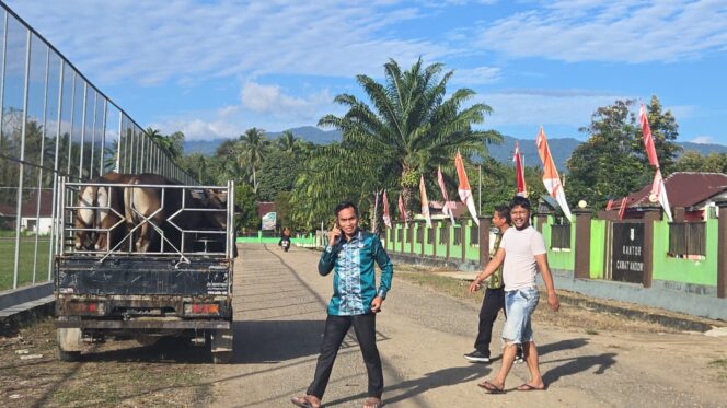 
					Camat Andowia Apresiasi PT. SSB Salurkan 10 Ekor Sapi Kurban Idul Adha 2025